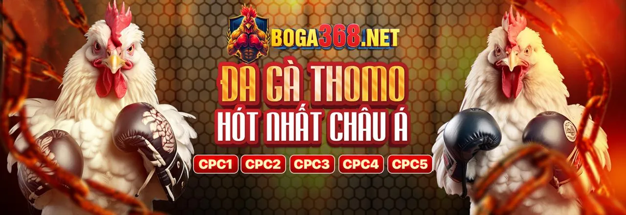 Hỗ trợ khách hàng tr88