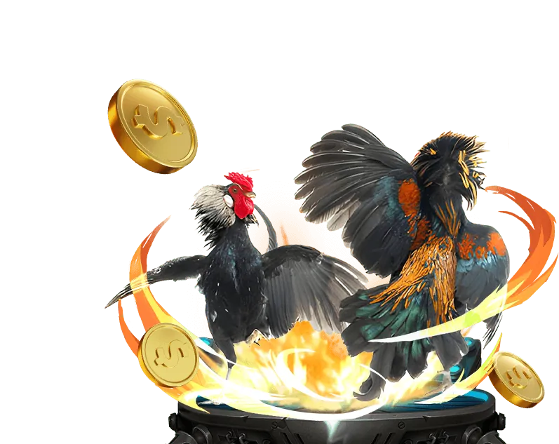 Hoàn trả đá gà hàng ngày tại Cwin